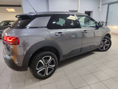 Citroën C4 Cactus II 110ch S&S Feel Business E6.d 6cv