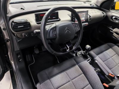Citroën C4 Cactus II 110ch S&S Feel Business E6.d 6cv